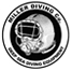 Miller Diving pdp brand logo