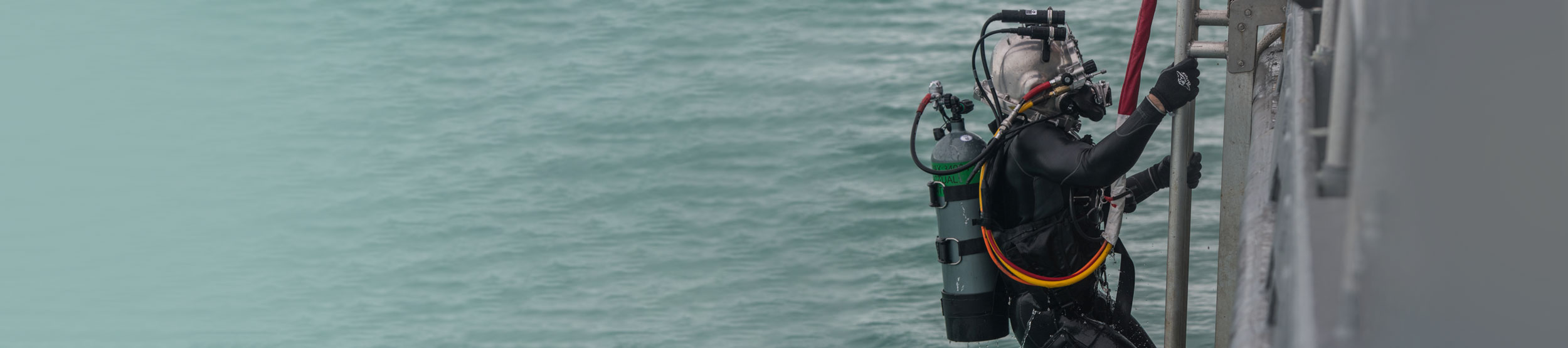 Diving Bailout Whips Amron International