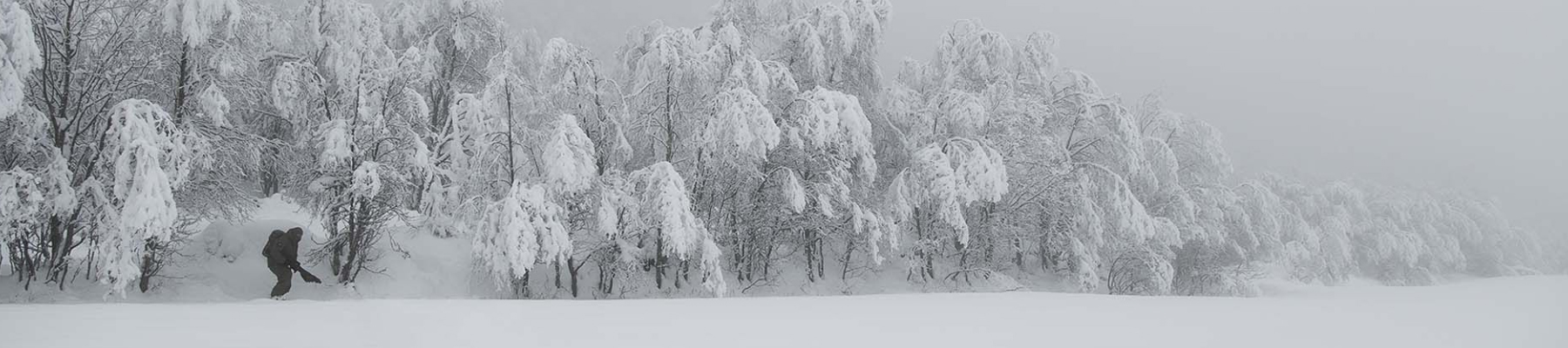 Cold Weather Insulation