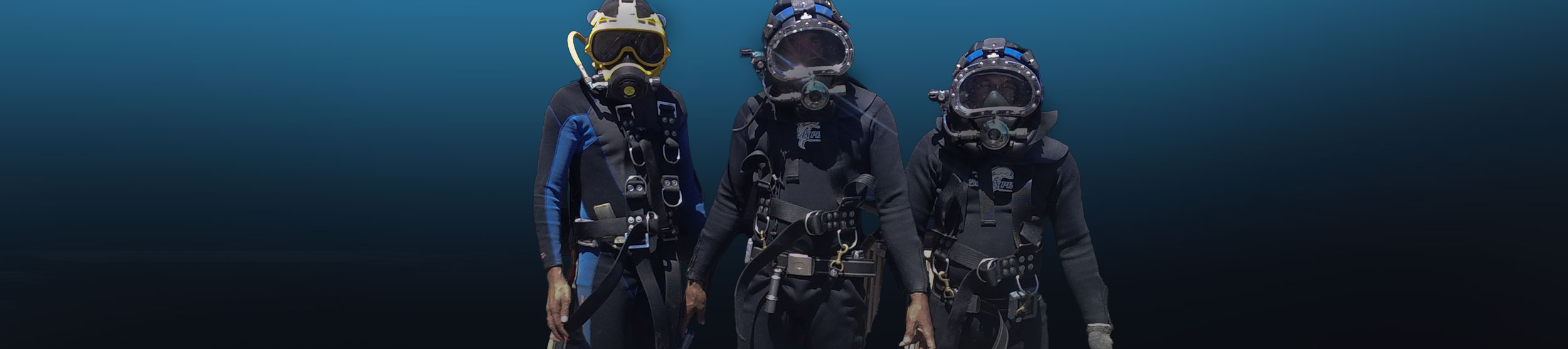 Harnesses & Backpacks