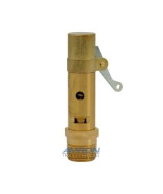 Kingston Valves ASME Code Safety Valve Brass 1 in. NPT, SS Ball & Spring, High Flow, Set at 75 PSI - P/N: 119CSS-6-075