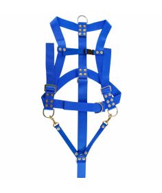 Miller Diving Divers Safety Harness Adj. Shoulders, Chest & Jock Strap, Blue & Lifting D-Ring