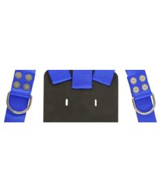Miller Diving Chest D-Ring (Installed Blue Harness Option)