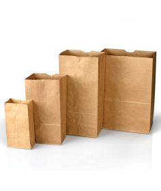 Forensics Source Plain Paper Bags Style 4 - 100-Pack