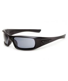 EES 5B Black Frame Smoke Gray Lenses 