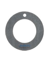 Stanley Thrust Washer