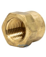 Parker Cap 1/4In FNPT Brass