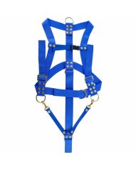 Miller Diving Divers Safety Harness Adj. Shoulders, Chest & Jock Strap, Blue & Lifting D-Ring