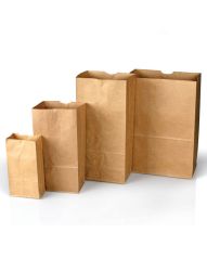 Forensics Source Plain Paper Bags Style 4 - 100-Pack
