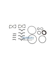 Seal Kit: SM50 Motor - 66398