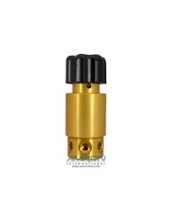 Aqua Environment Hand/Spring Loaded Reducing Regulator with 1/4 in. FNPT Fittings (0 to 6,000 PSI Out)