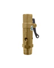 Kingston Valves 114-5-110 Relief Valve 3/4 in. NPT - 110 PSI - Brass