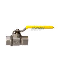 Full Port Ball Valve 316 SS 1/2 IN FNPT 100 CWP
