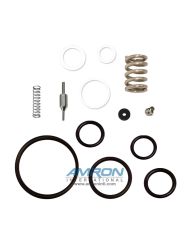 TESCOM 389-7350 Regulator Repair Kit